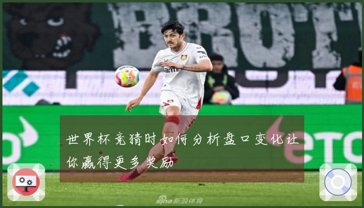 世界杯竞猜时如何分析盘口变化让你赢得更多奖励