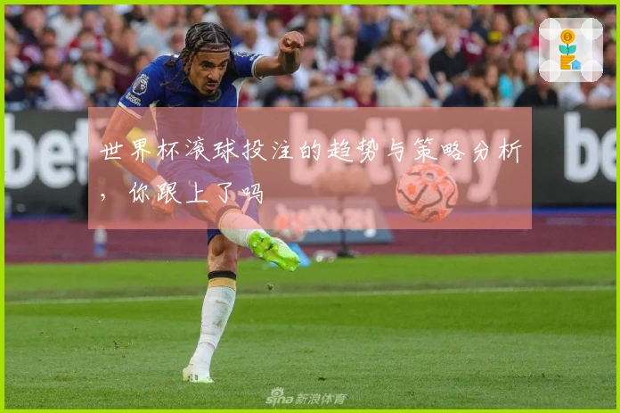 世界杯滚球投注的趋势与策略分析，你跟上了吗