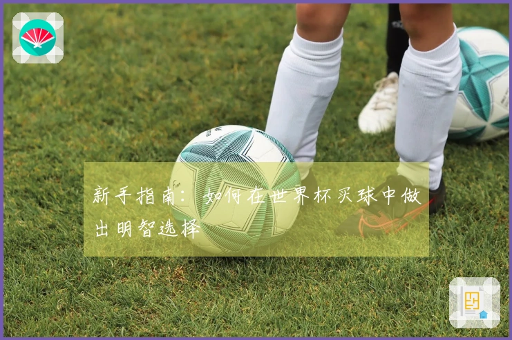 新手指南：如何在世界杯买球中做出明智选择