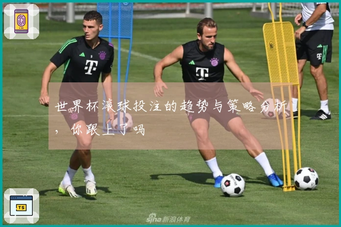 世界杯滚球投注的趋势与策略分析，你跟上了吗