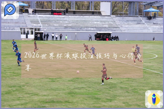 2026世界杯滚球投注技巧与心得分享