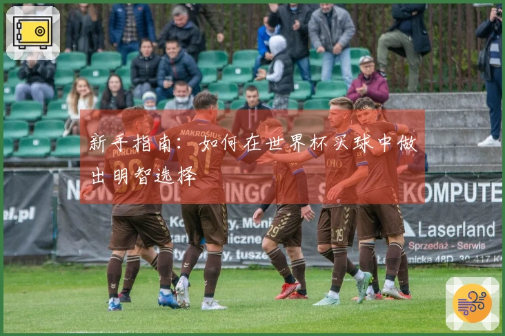 新手指南：如何在世界杯买球中做出明智选择