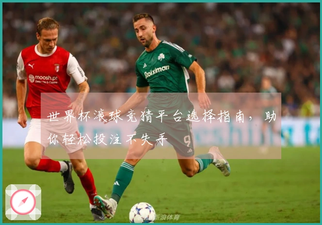 世界杯滚球竞猜平台选择指南，助你轻松投注不失手