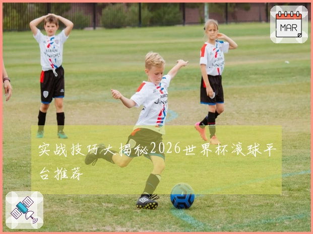 实战技巧大揭秘2026世界杯滚球平台推荐